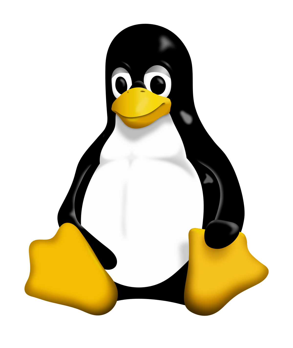 Linux%20Installation%20Party%202020/Untitled%2021.png